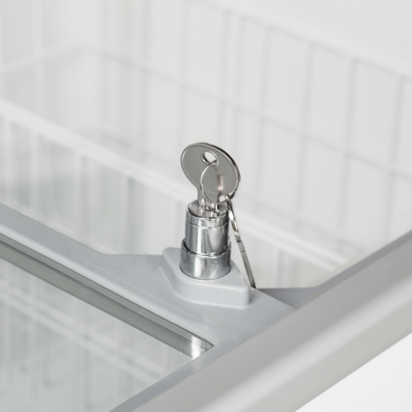 Ice Cream Freezer - IC201SC - Image 3