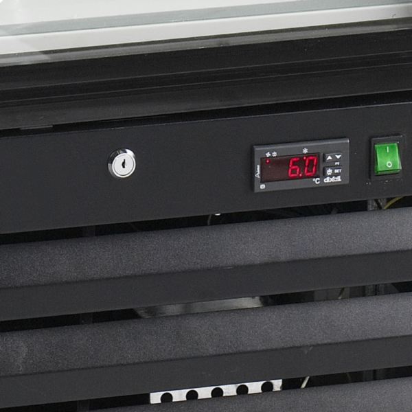 Display Freezer - NF2500G - Image 3