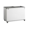 Ice Cream Freezer - NIC400SC