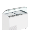Scoop Ice Cream Freezer - UDRS10