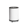 Can Freezer - CF78