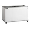 Ice Cream Freezer - NIC500SC