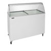 Scoop Ice Cream Freezer - IC400SC-SO